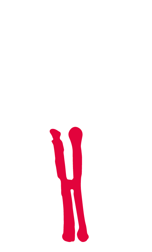 Spielhöhle Regensburg